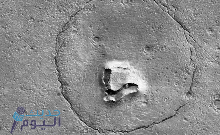 صورة دب الباندا على سطح المريخ