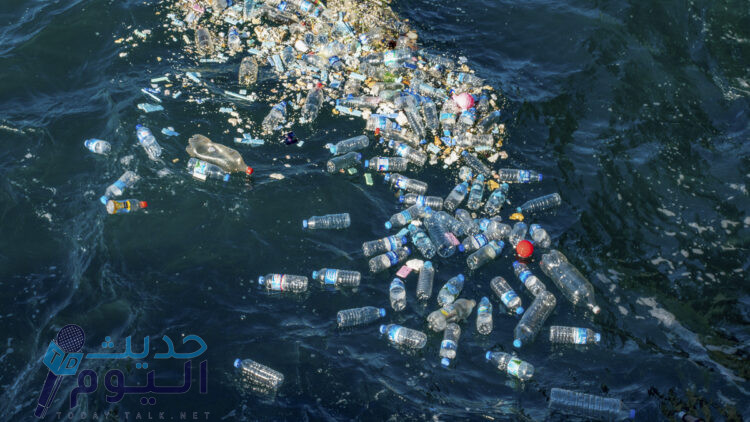 خطر النفايات البلاستيكية