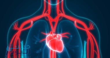 أعراض تضخم عضلة القلب وأسبابها ونصائح لتجنبها