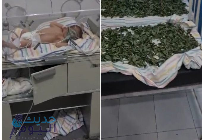 إغلاق مشفى خاص في درعا بسبب وجود ملوخية داخل قسم حواضن الأطفال (فيديو)