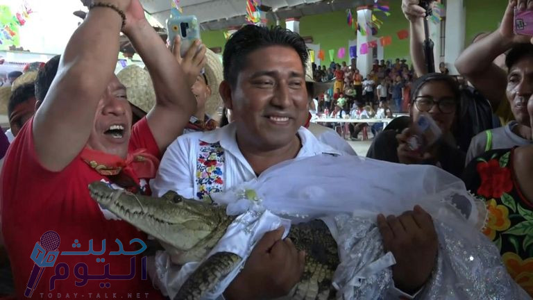 مسؤول في المكسيك يتزوج للمرة الثانية من أنثى تمساح !