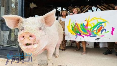 بيع لوحات فنية بمليون دولار والرسام حيوان الخنزير !