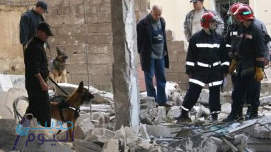 الكلاب البوليسية تساعد في الكشف عن ناجين تحت الأنقاض بعد زلزال المغرب